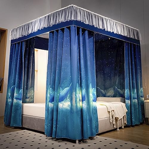 Blue-starry&dolphin