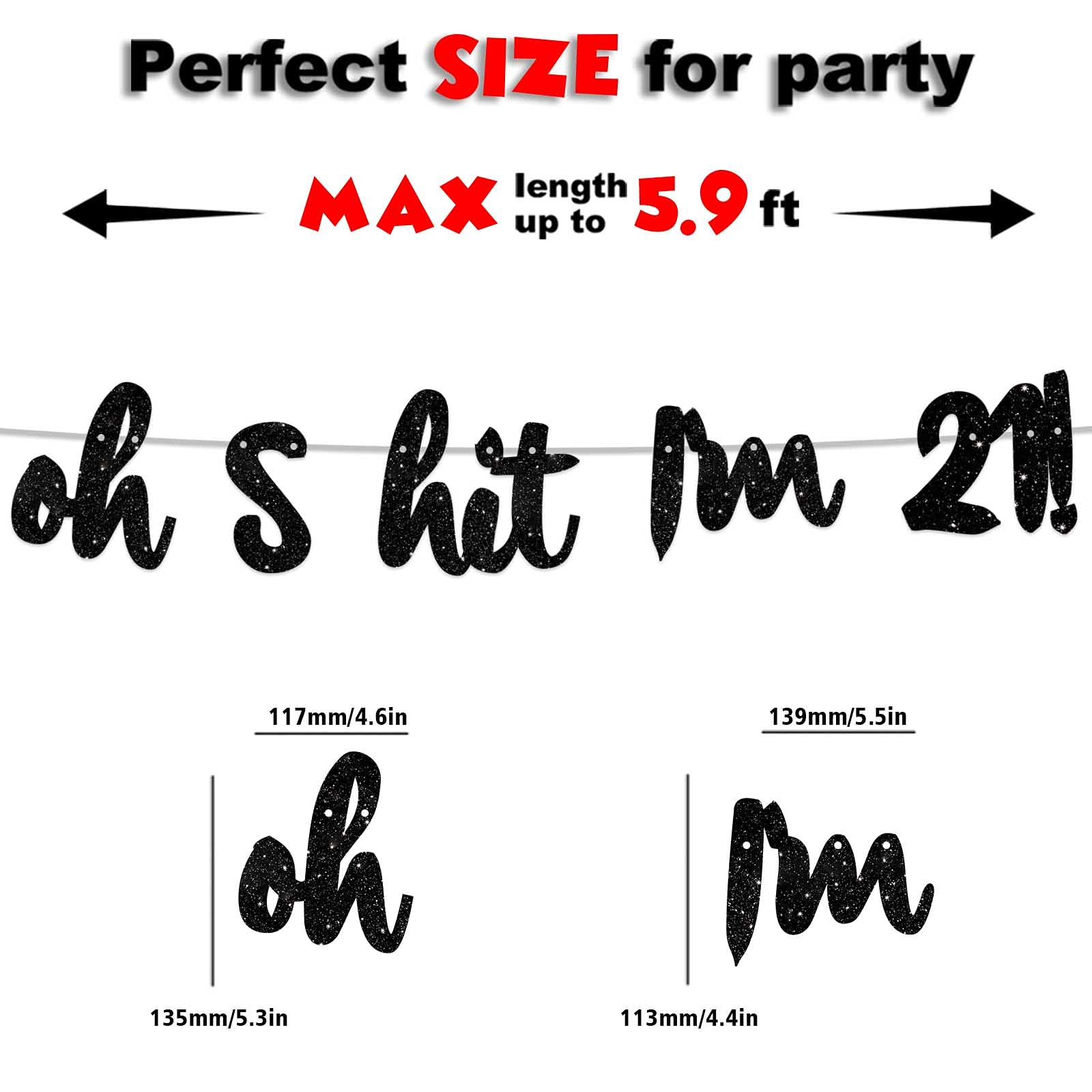 Glitter Black 'Cheers to 21 Years' Birthday Banner Backdrop - Happy 21st Birthday Party Decorations for Men & Women - Photo Studio Props, Flags & Party Supplies - Perfect for 21st Birthday Celebrations, Photo Booths & Milestone Decor