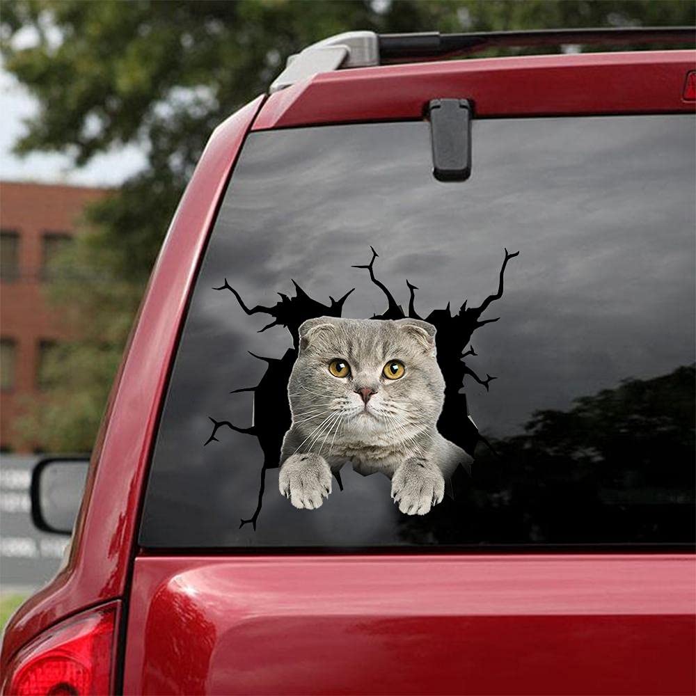 Scottish Fold Car Stickers - 2 Pack for Windows & Walls (12
