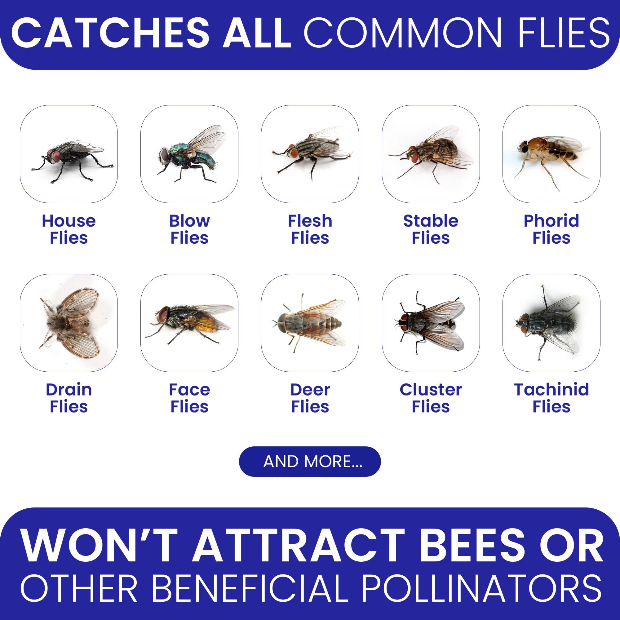 **Non-Toxic Outdoor Fly Traps – 12 Pre-Baited Disposable Hanging Fly Catchers for Patio, Yard, Horse Ranch & Trash Can – Effective Bug Control for Filth Flies – Ideal for Outdoor Use in Gardens, Farms & Backyards**