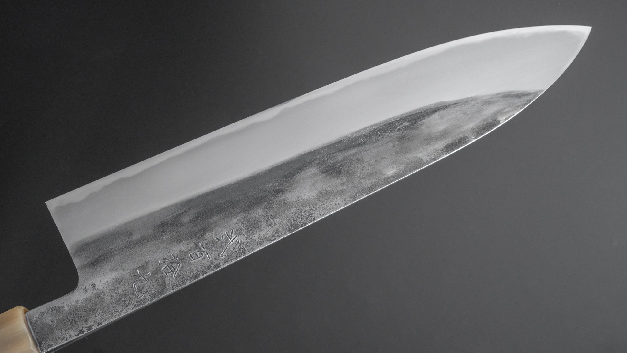 Premium Jiro Tsuchime Wa Gyuto 240mm Japanese Chef Knife with Taihei Tagayasan Handle - Perfect for Sushi, Meat Cutting & Professional Kitchen Use (#219)