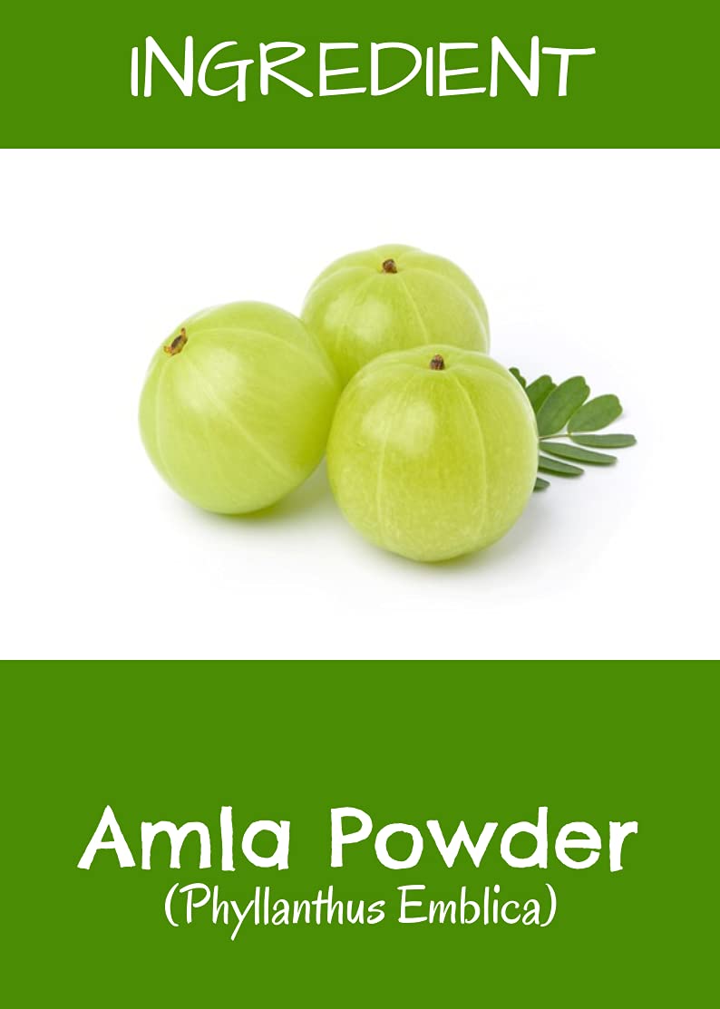 Organic Amla Powder 100g - 100% Pure Indian Gooseberry Powder for Hair Growth, Skin Care & Face Masks | Natural Ayurvedic Supplement for Healthy Hair & Glowing Skin | Vegan, Chemical-Free, No Additives | Perfect for DIY Beauty Treatments & Herbal Remedies
