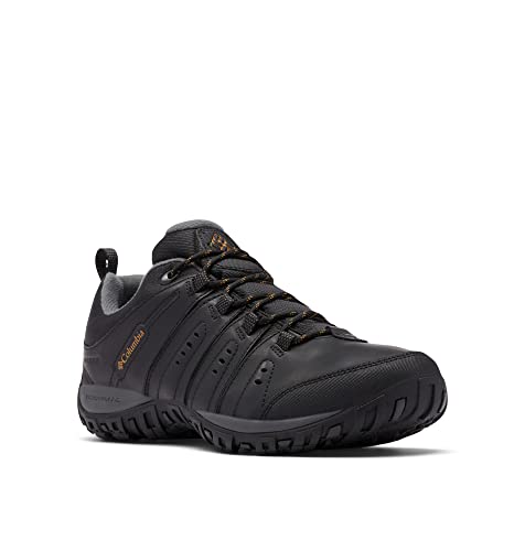 Negro Black Caramel 2023