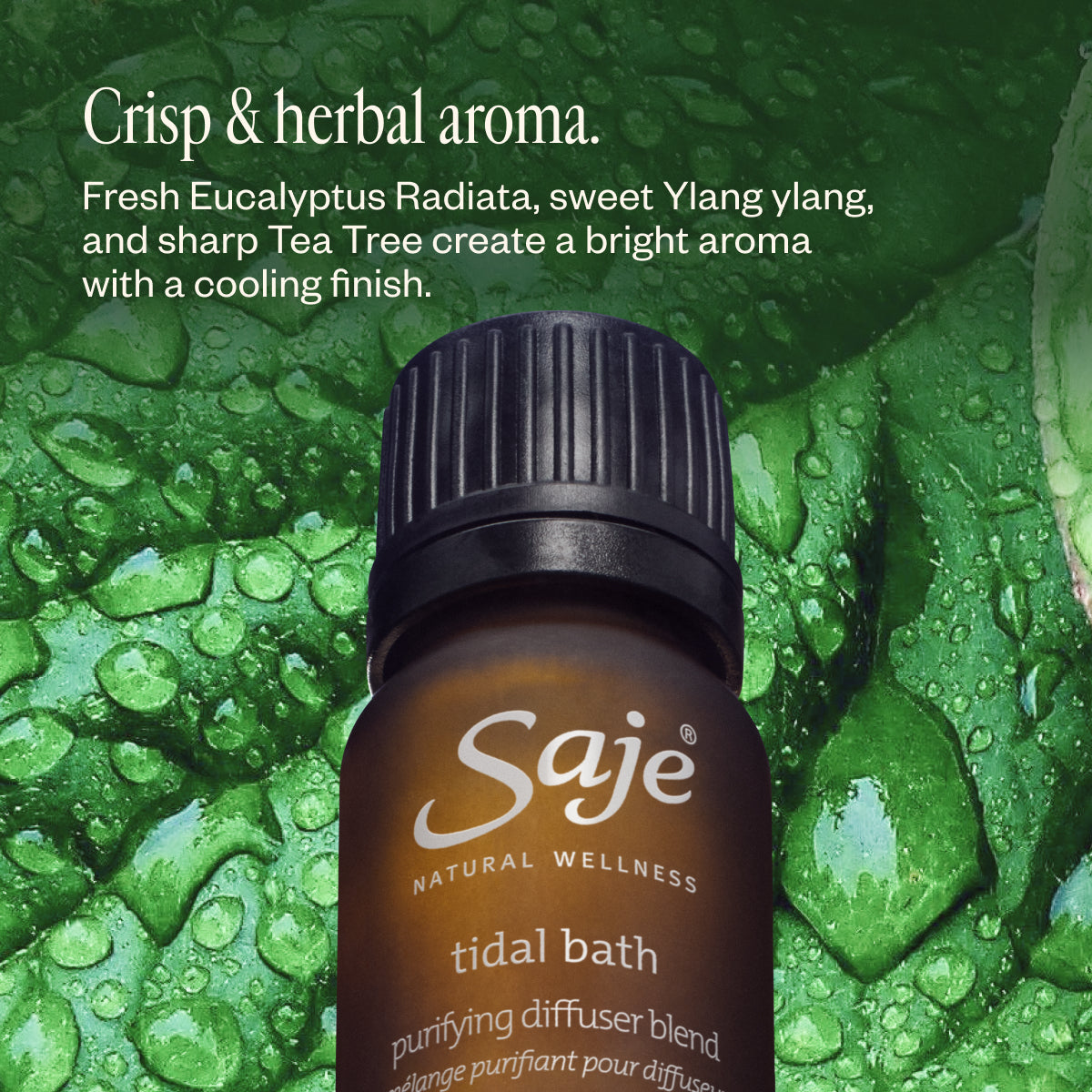 Summer Uplifting Essential Oil Diffuser Blend Drops - Energizing Aromatherapy for Home, Office & Relaxation