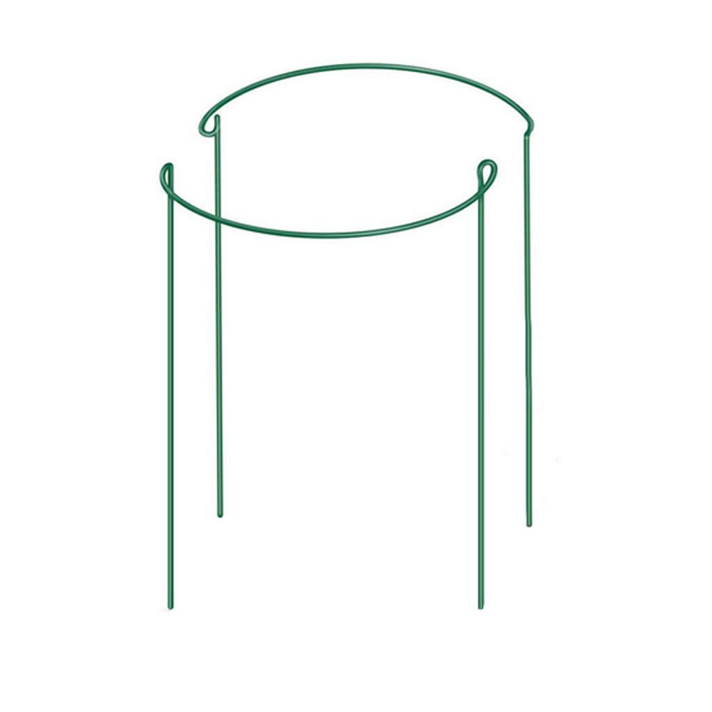 2 Pack Plant Support Rings - Heavy Duty Garden Plant Holder for Tomatoes, Peppers, Vines | Durable Horticultural Tool for Outdoor Gardening, Greenhouse & Backyard Planting