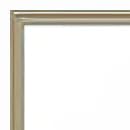 Brushed Champagne Aluminum Frame
