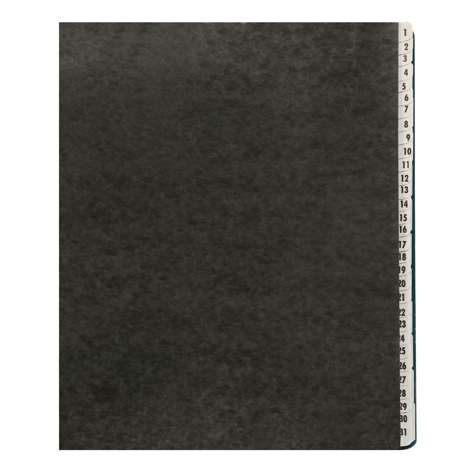 Amazon Basics Daily & Monthly Desk File Sorter - Letter Size Black Organizer for Office, Home & School Documents - Perfect for Bills, Mail & Paperwork Management