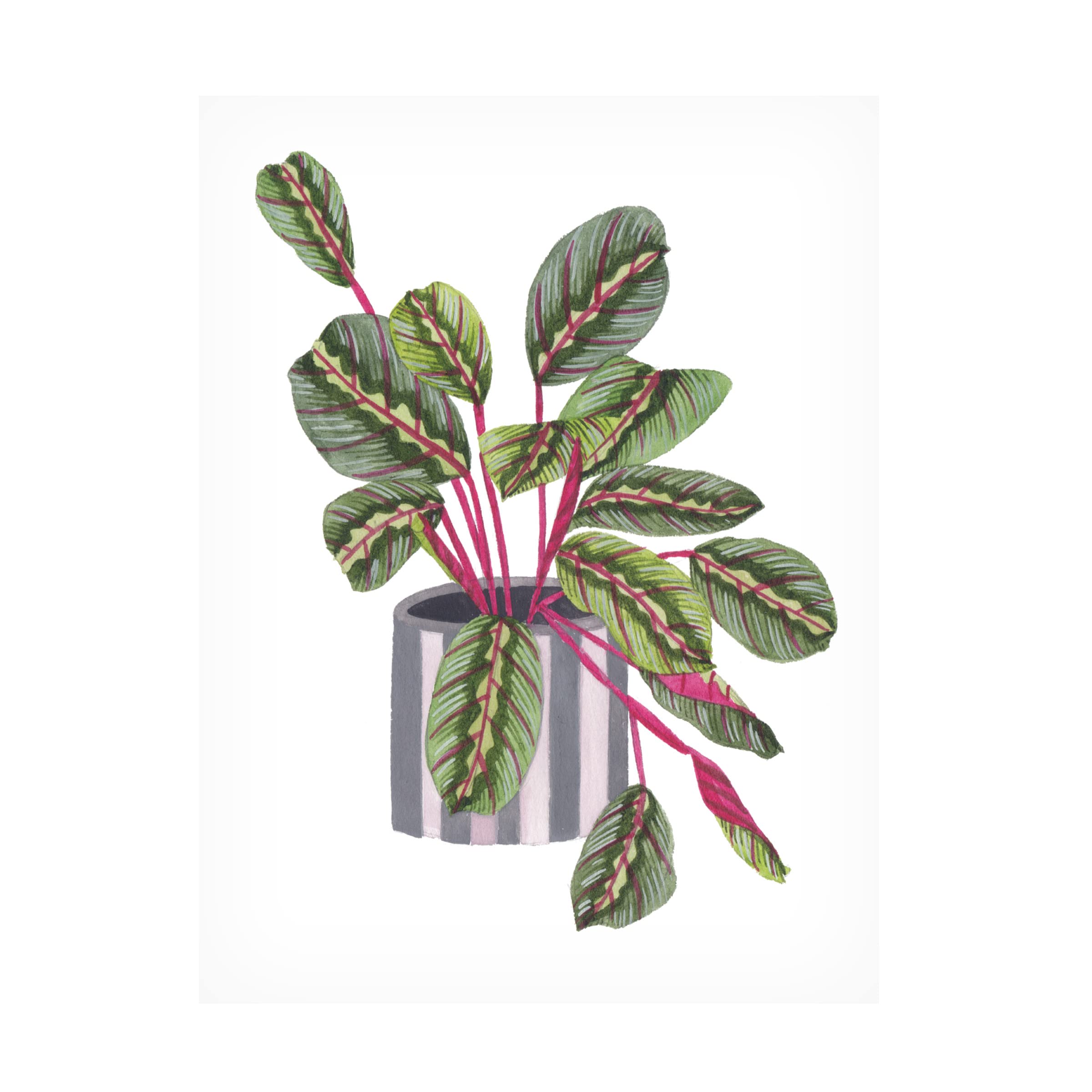 Trademark Fine Art 'Prayer Plant I' Canvas Wall Art by Melissa Wang - Botanical Home Decor for Living Room, Bedroom & Office