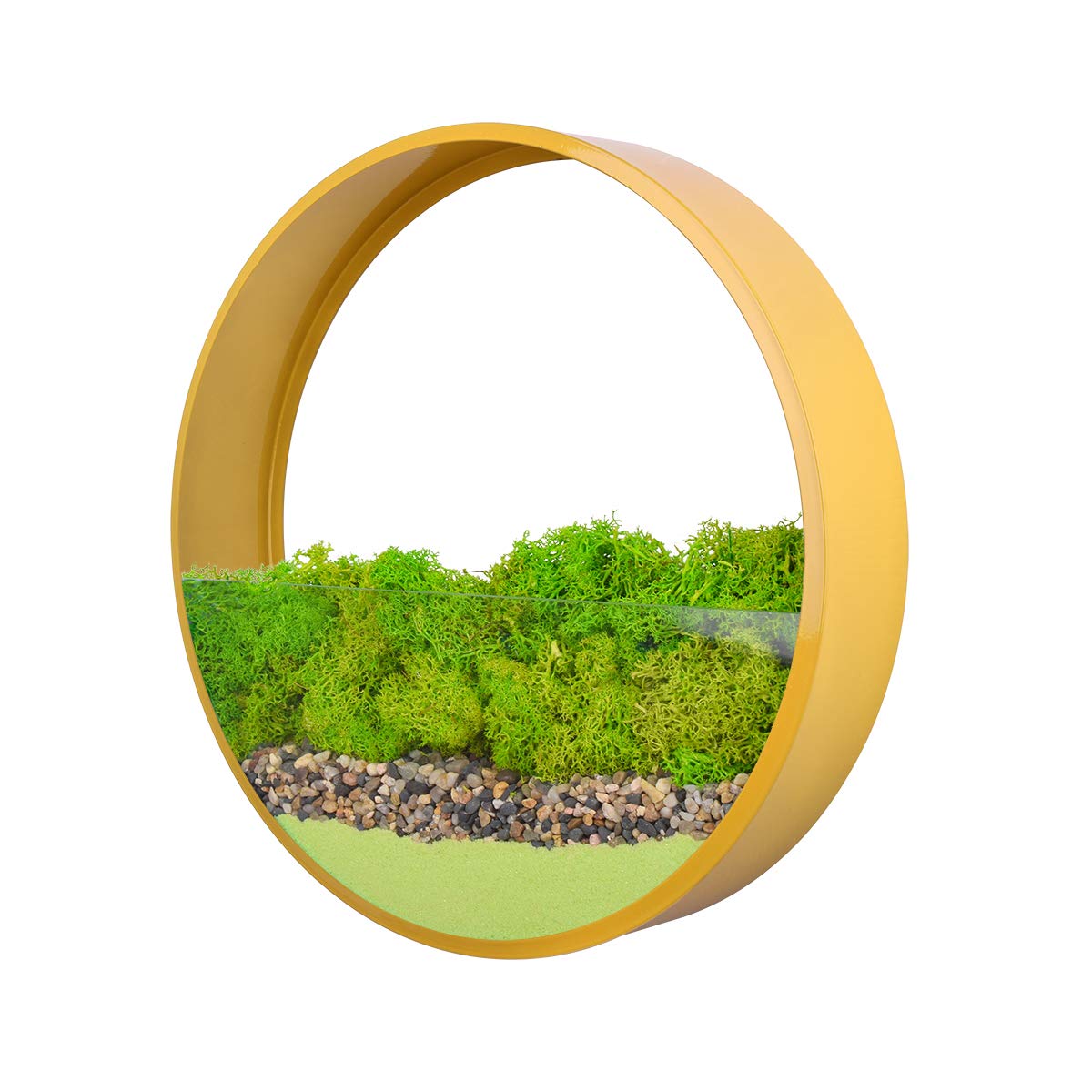 Ecosides Metal Wall Mounted Planter - 12