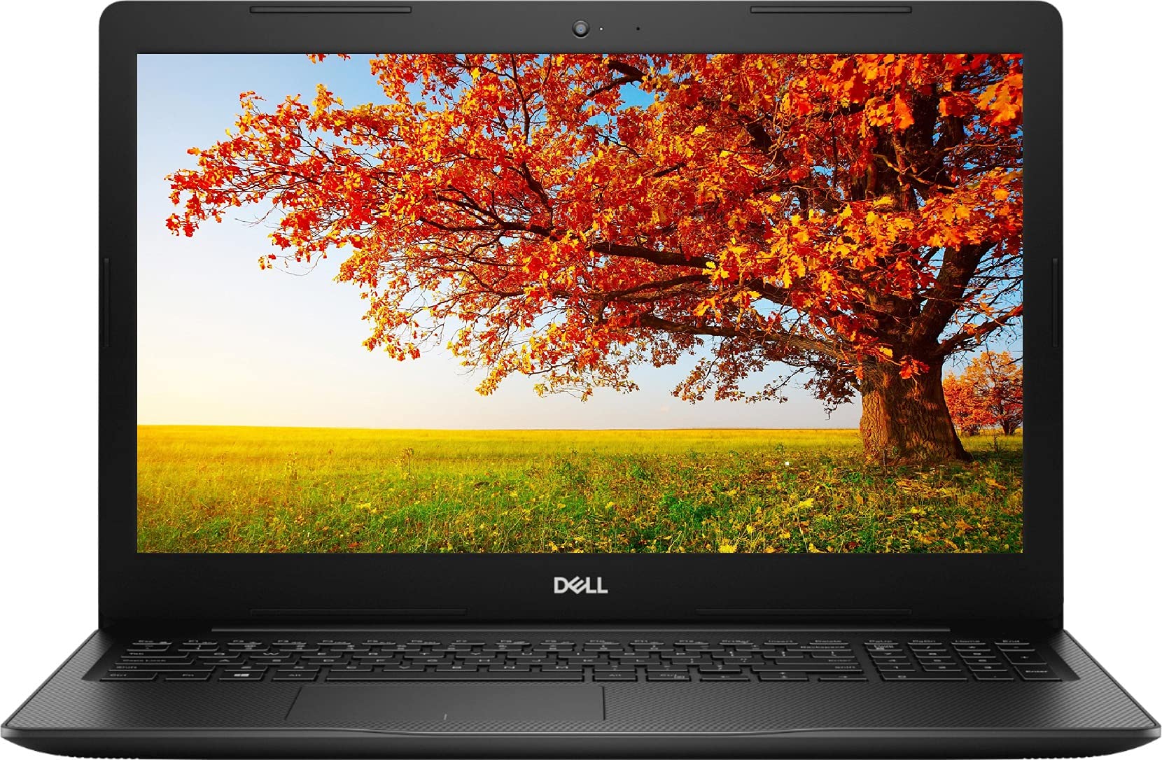 Dell Inspiron 3000 15.6