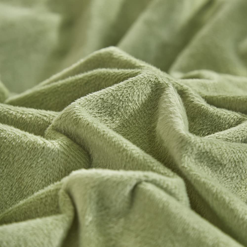 CLOTHKNOW Green Velvet Twin Comforter Set - 3 Piece Fluffy Soft Bedding Set with 2 Pillowcases | Light Green Velvet Comforter for Cozy Bedroom Decor & Guest Room Essentials
