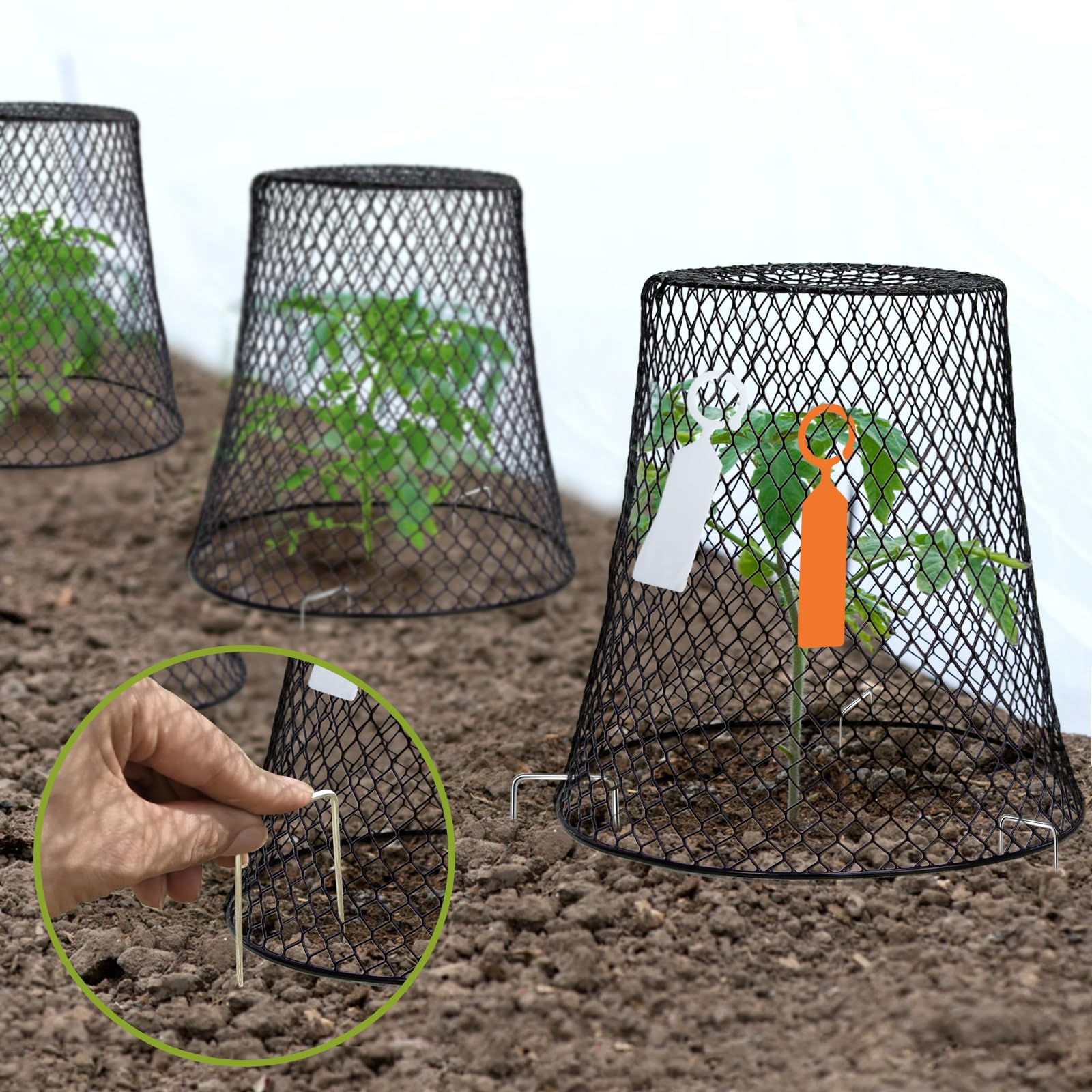 10 Pack Heavy Duty Chicken Wire Cloche Plant Covers - 9.13×9.13 Inch Metal Garden Netting for Protecting Plants from Rabbits, Squirrels, Birds & Chickens - Perfect for Vegetable Gardens, Flower Beds & Seedling Protection