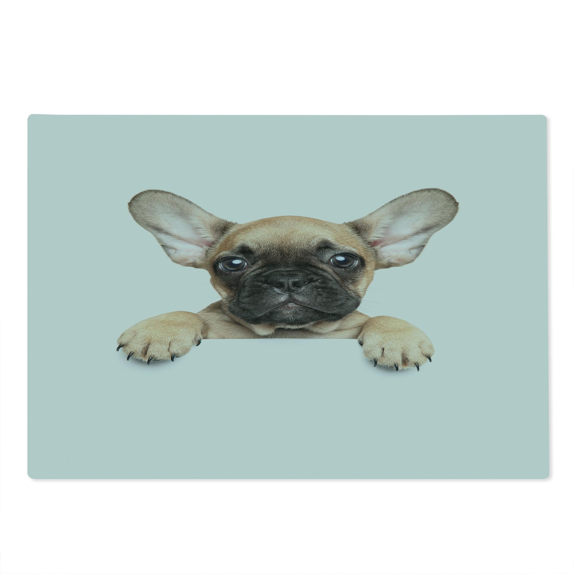 Ambesonne Bulldog Tempered Glass Cutting Board - Large Sand Brown & White Decorative Serving Tray with Pedigree Puppy Photo - Perfect for Pet Lovers & Kitchen Decor - Ideal for Cheese Charcuterie, Appetizer Presentation & Home Entertaining