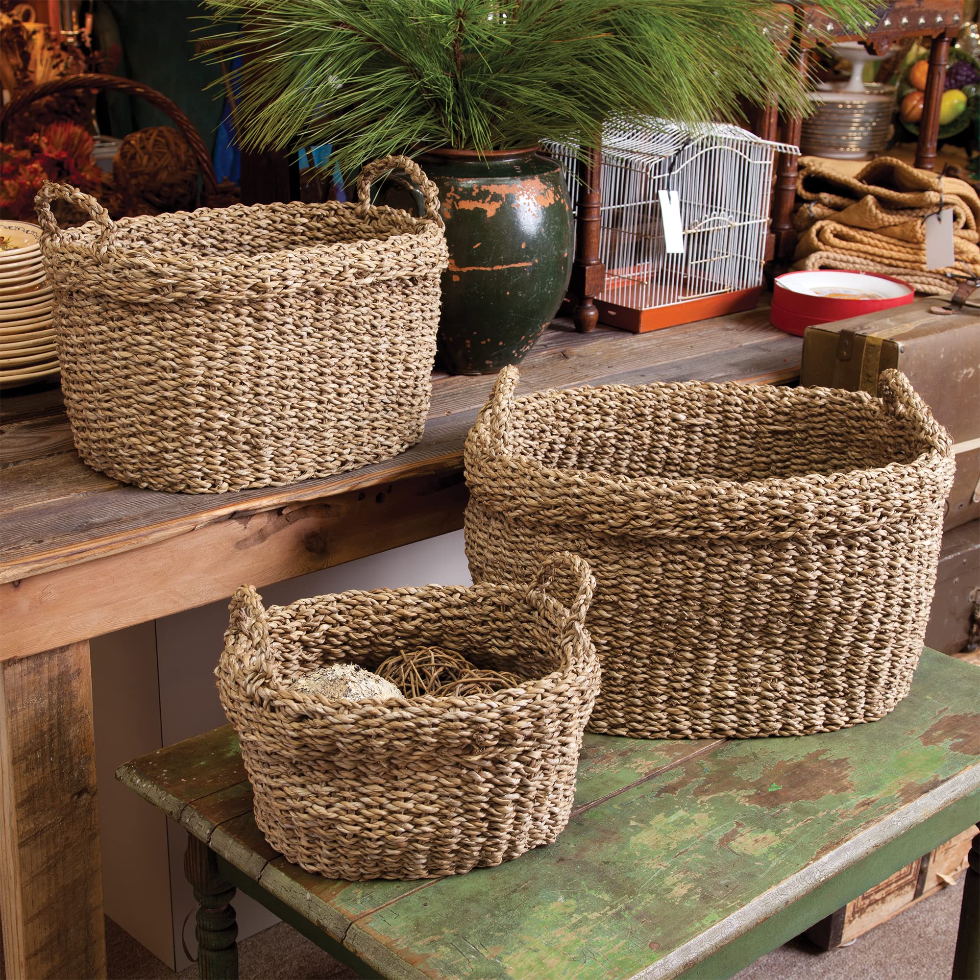 Napa Home & Garden Natural Seagrass Oval Storage Baskets with Handles - Set of 3 - Soft, Supple & Textured for Home Organization - Perfect for Living Room, Bedroom & Bathroom Storage
