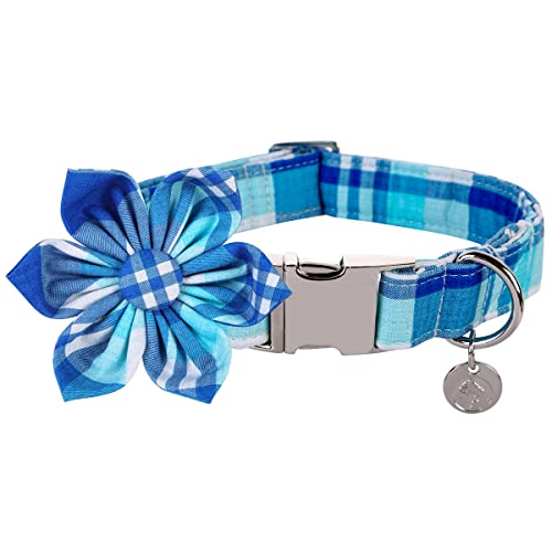 Z: blue plaid