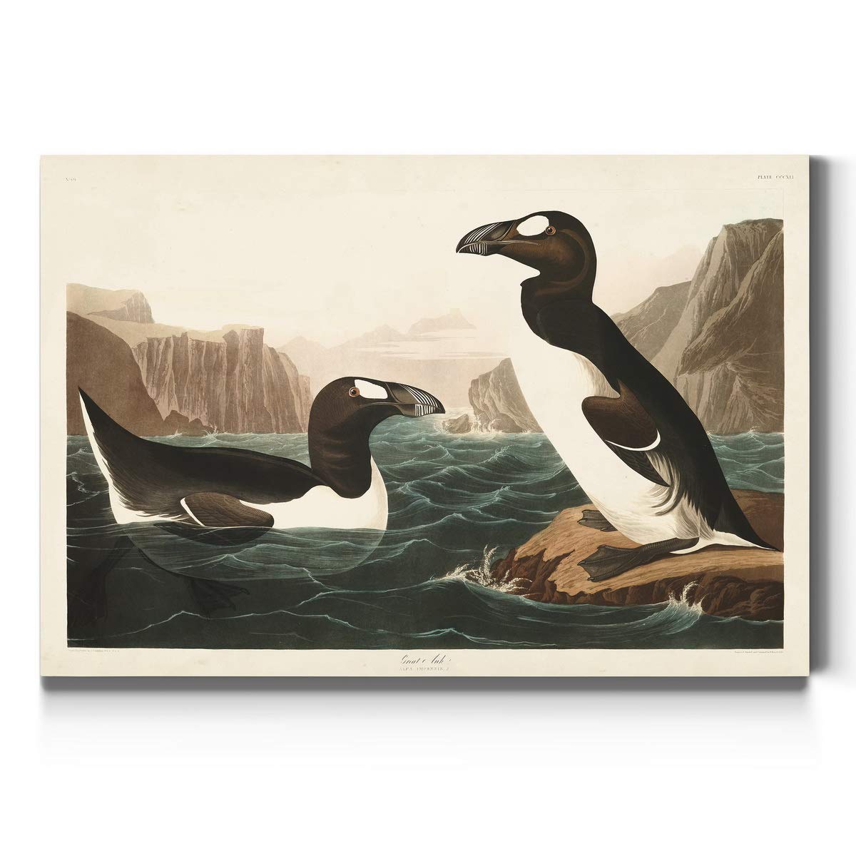 John James Audubon Great Auk Premium Canvas Wall Art - Vibrant Classic Bird Painting - 32x48 Inch Gallery Wrapped Ready-to-Hang Decor - Made in USA - Perfect for Living Room, Office or Nature-Themed Interior Design