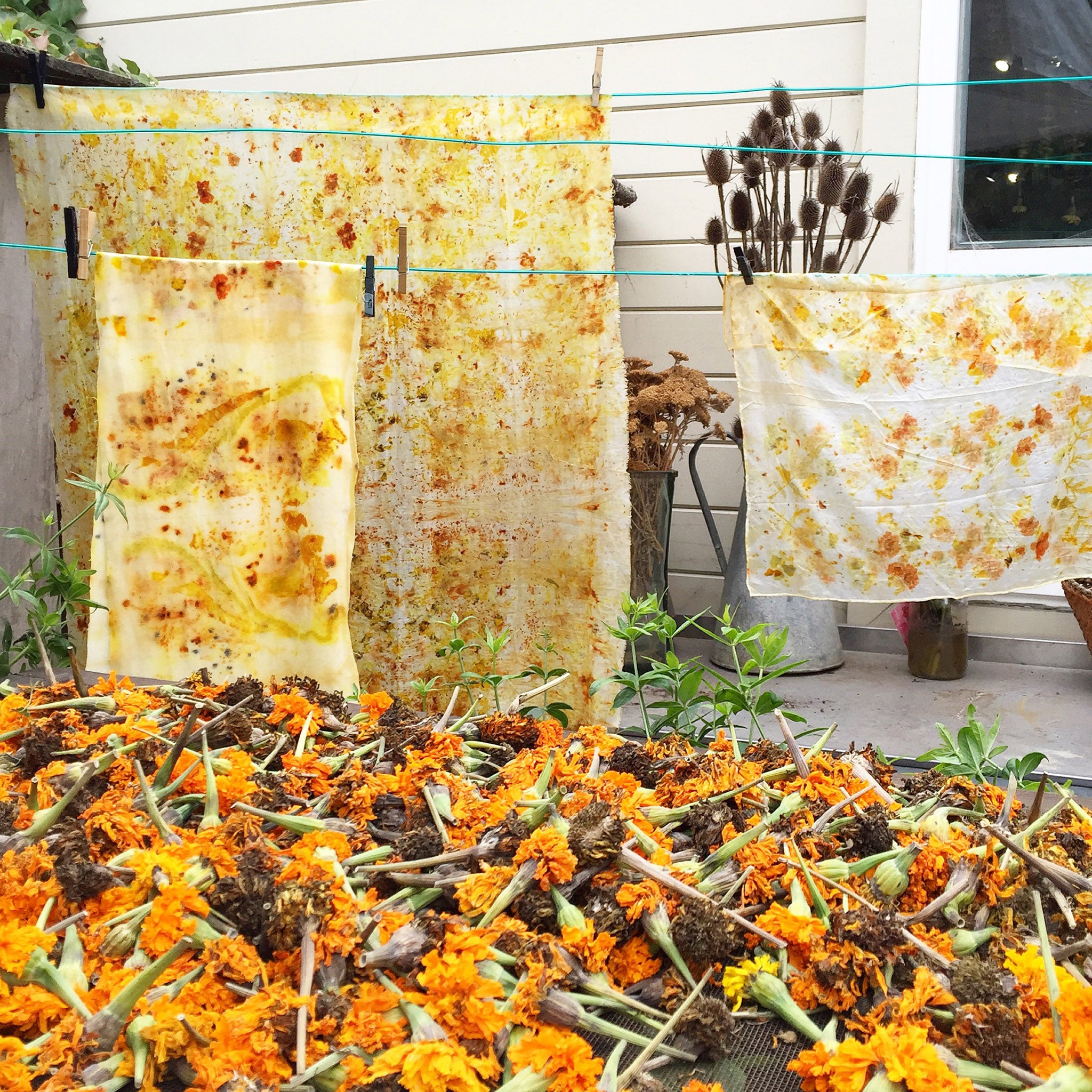 Natural Eco Printing on Cotton & Linen Fabric - DIY Botanical Dyeing Guide for Sustainable Textiles | Perfect for Home Decor, Fashion Design & Eco-Friendly Crafts