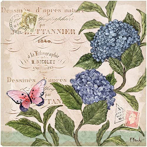 Parisian Hydrangea II