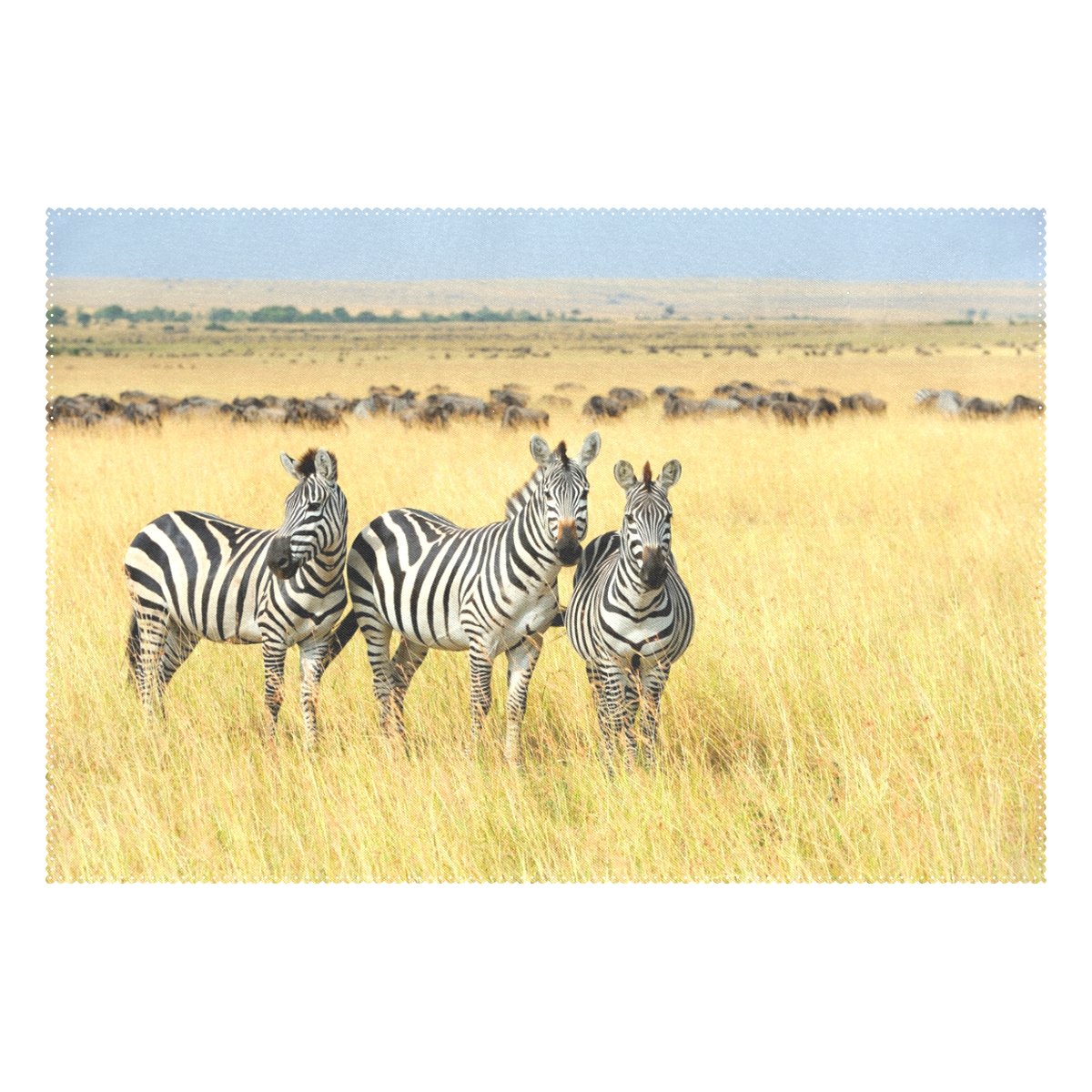 Zebra Print Africa Themed Placemats - Set of 6 Heat-Resistant Washable Polyester Table Mats for Kitchen & Dining Room Decor | Perfect for Safari Parties, African Home Decor, and Everyday Meals