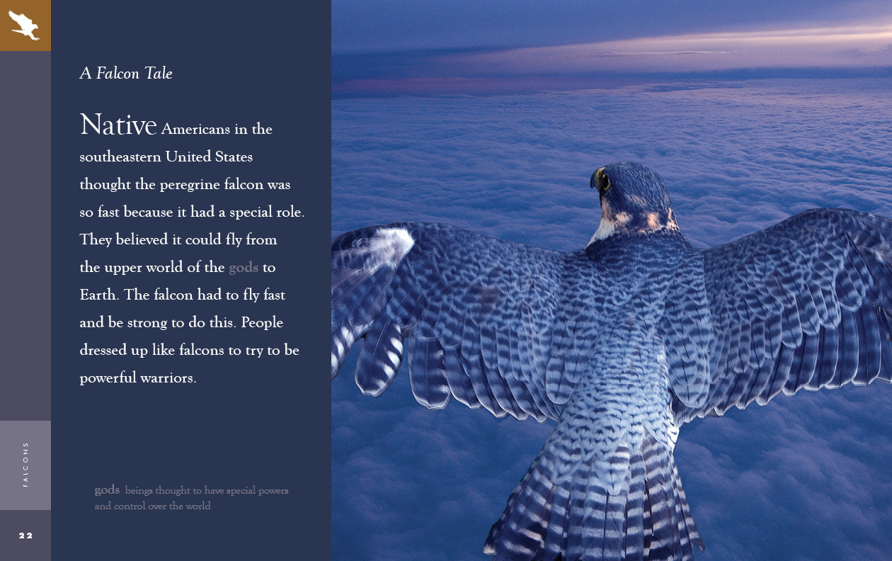 Falcons Book 9781640265639 - Wildlife & Nature Guide for Bird Lovers, Perfect for Outdoor Enthusiasts and Educational Use