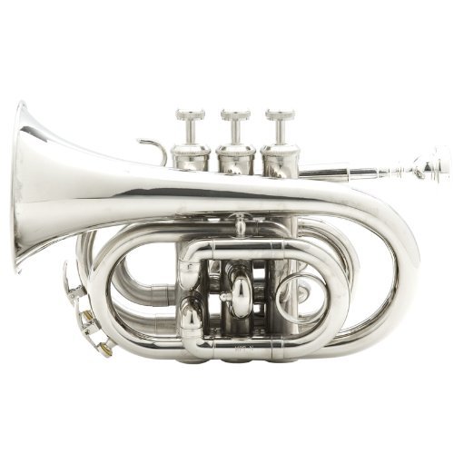 Mendini by Cecilio MPT Brass Bb Pocket Trumpet - Nickel Plated with Tuner, Case & Mouthpiece | Compact Travel Trumpet for Beginners, Students & Jazz Performances