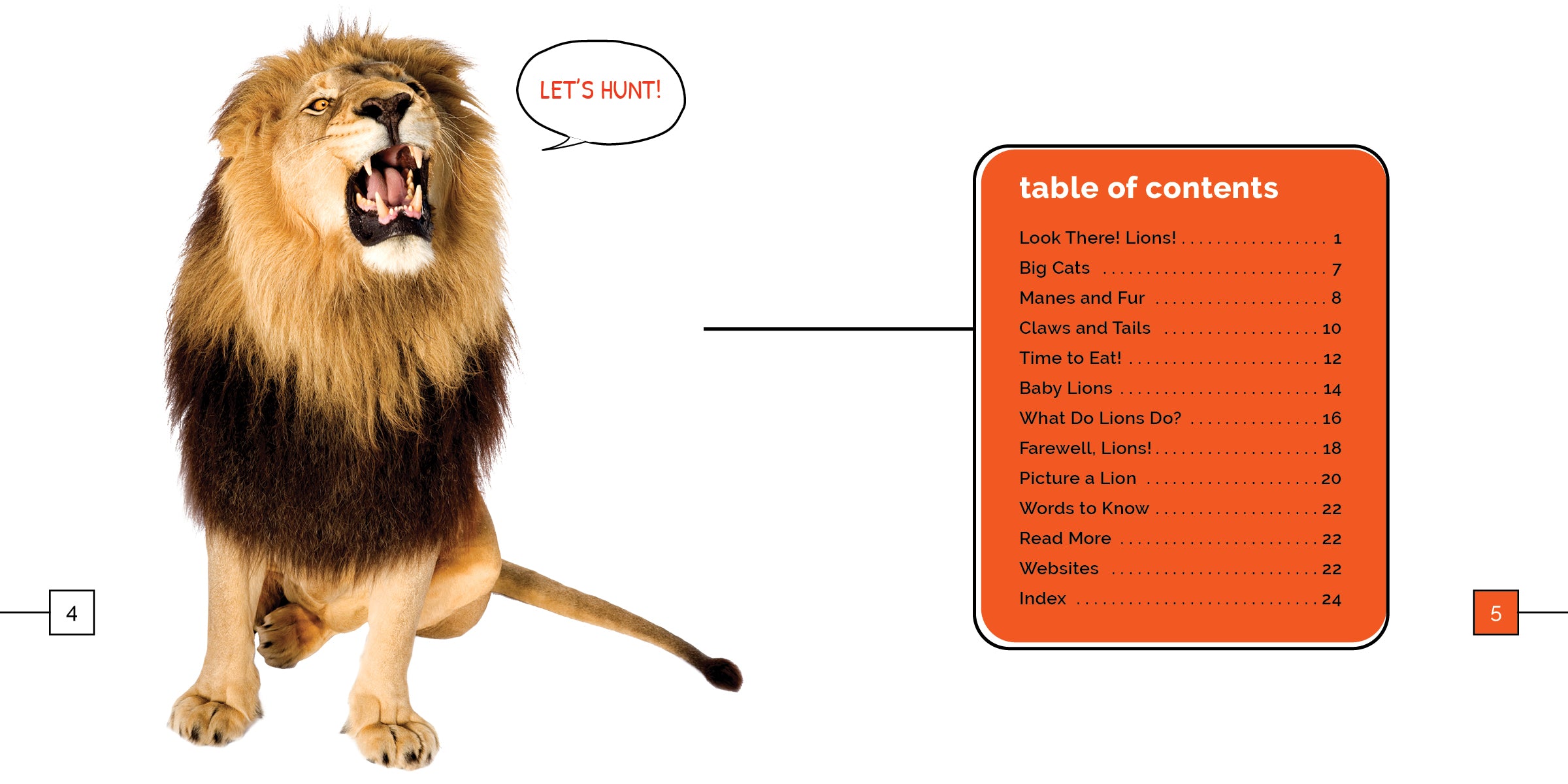 Lions Book 9781640268432 - Wildlife Animal Encyclopedia for Kids & Adults - Perfect for Education, Research & Nature Lovers