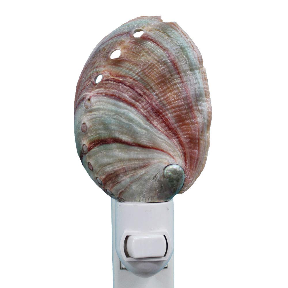 Natural Red Abalone Shell Night Light - Handmade Ocean-Themed Bedside Lamp for Relaxation & Meditation | Perfect for Bedroom, Nursery, Spa Decor & Gift Giving