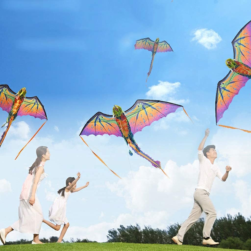 Easy-to-Fly 3D Dragon Kite for Kids - Single Line Beach Kite with 500m String & Tail - Perfect for Outdoor Activities, Family Fun, and Beach Games
