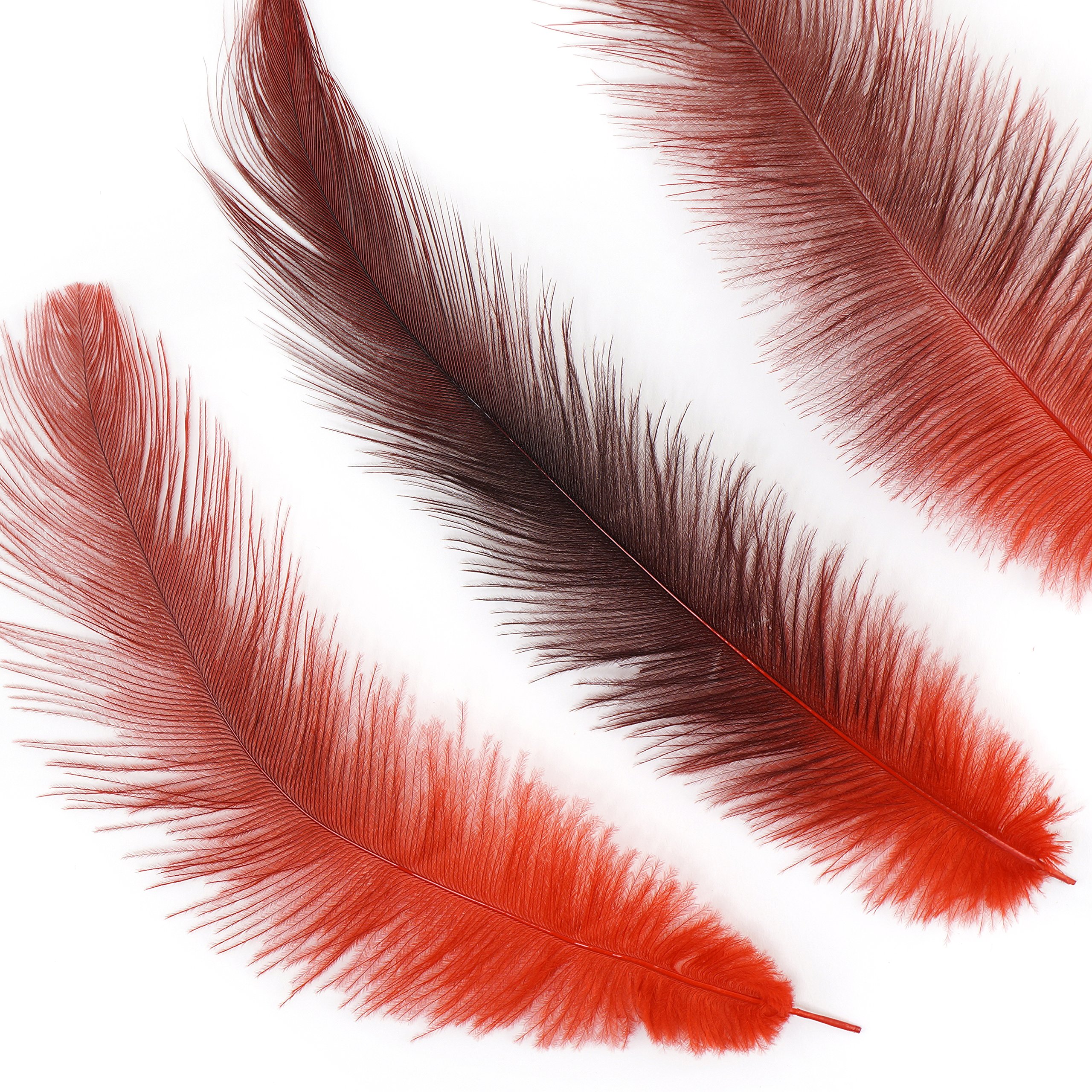 Premium ZUCKER™ Rhea Tail Feathers - Vibrant Red Ostrich Plumes for Costume Design, Fly Tying & Home Decor | Hand-Selected Quality for Crafting, Fashion Accessories & DIY Projects