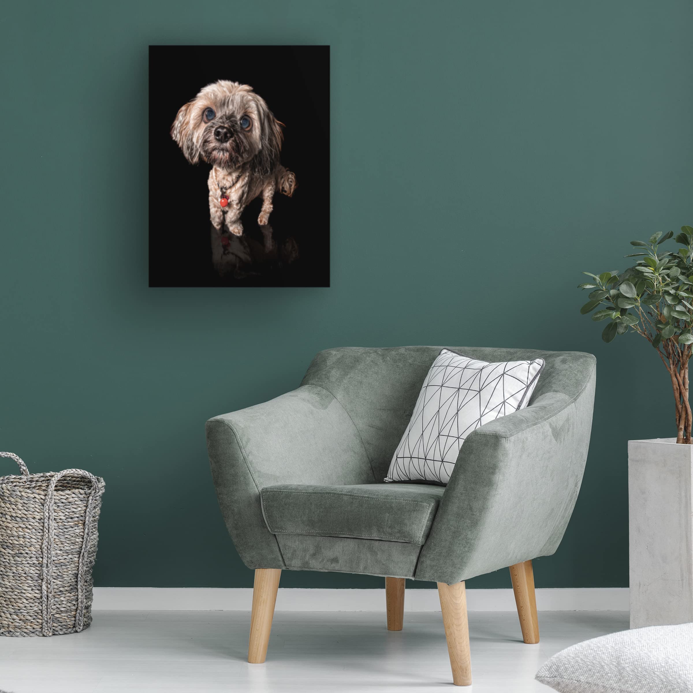 Trademark Fine Art 'Scuzzle' Canvas Wall Art Print by Lori Hutchison - Modern Abstract Painting for Living Room, Bedroom & Office Decor