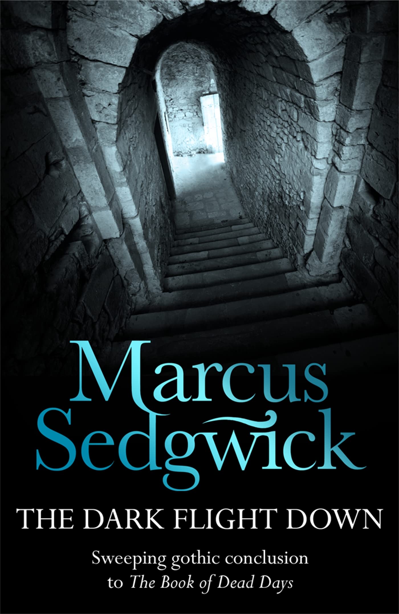 The Dark Flight Down (Book 2 of The Book of Dead Days Series) - Gripping Dark Fantasy Novel for Teens & Adults | Perfect for Halloween Reading & Gothic Literature Lovers