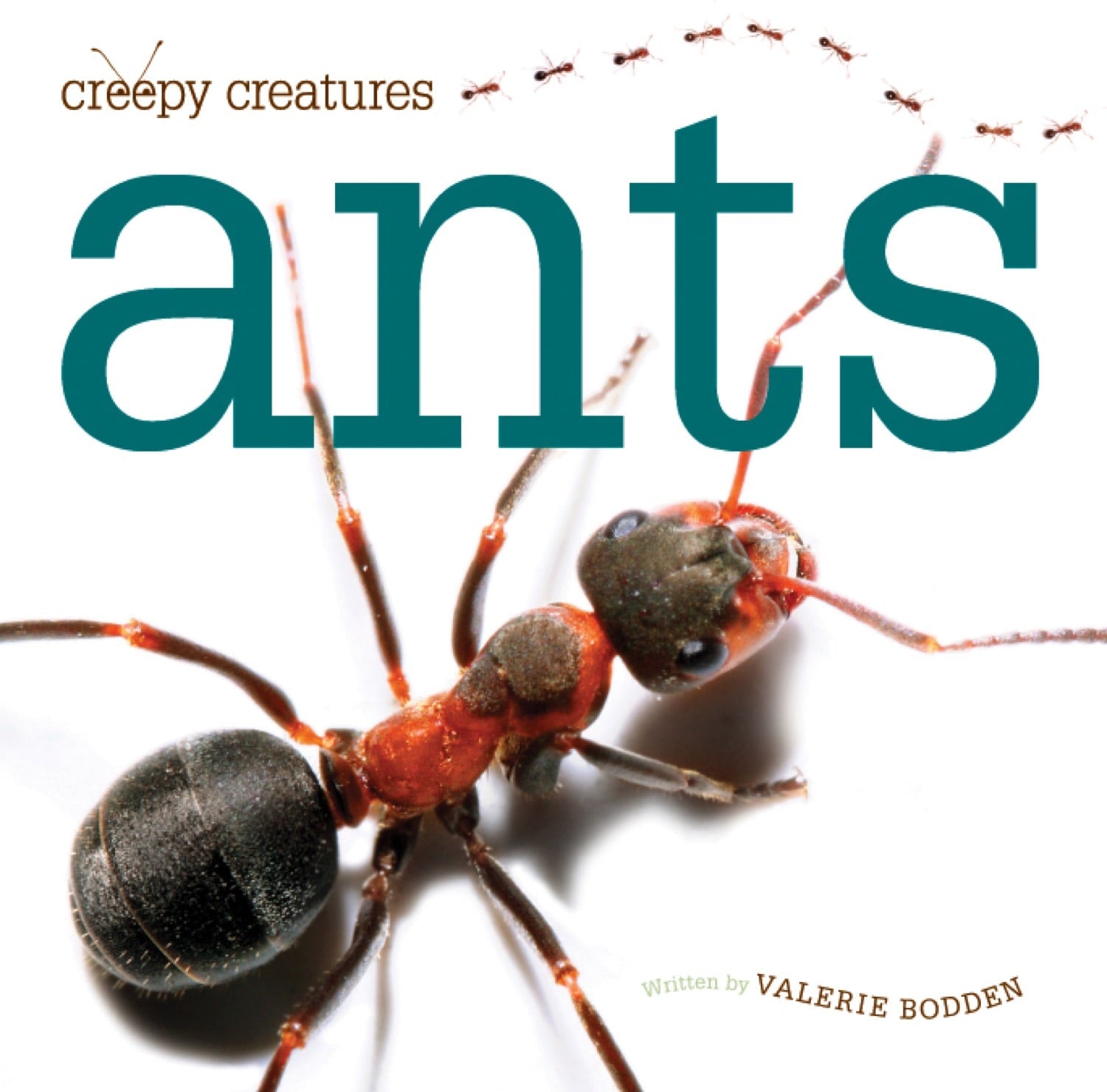 Ants: The Ultimate Guide to Species and Behavior - 9781608182305 | Perfect for Nature Enthusiasts & Science Research