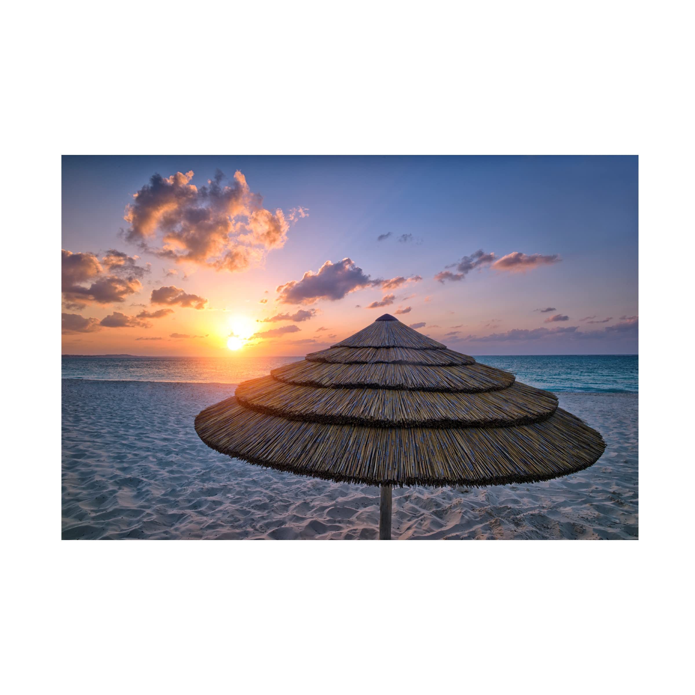 Dennis Frates 'Umbrella 1' Canvas Wall Art Print - Modern Home Decor for Living Room, Bedroom & Office - Trademark Fine Art Collection