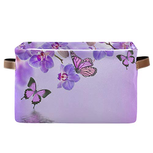 orchid butterfly