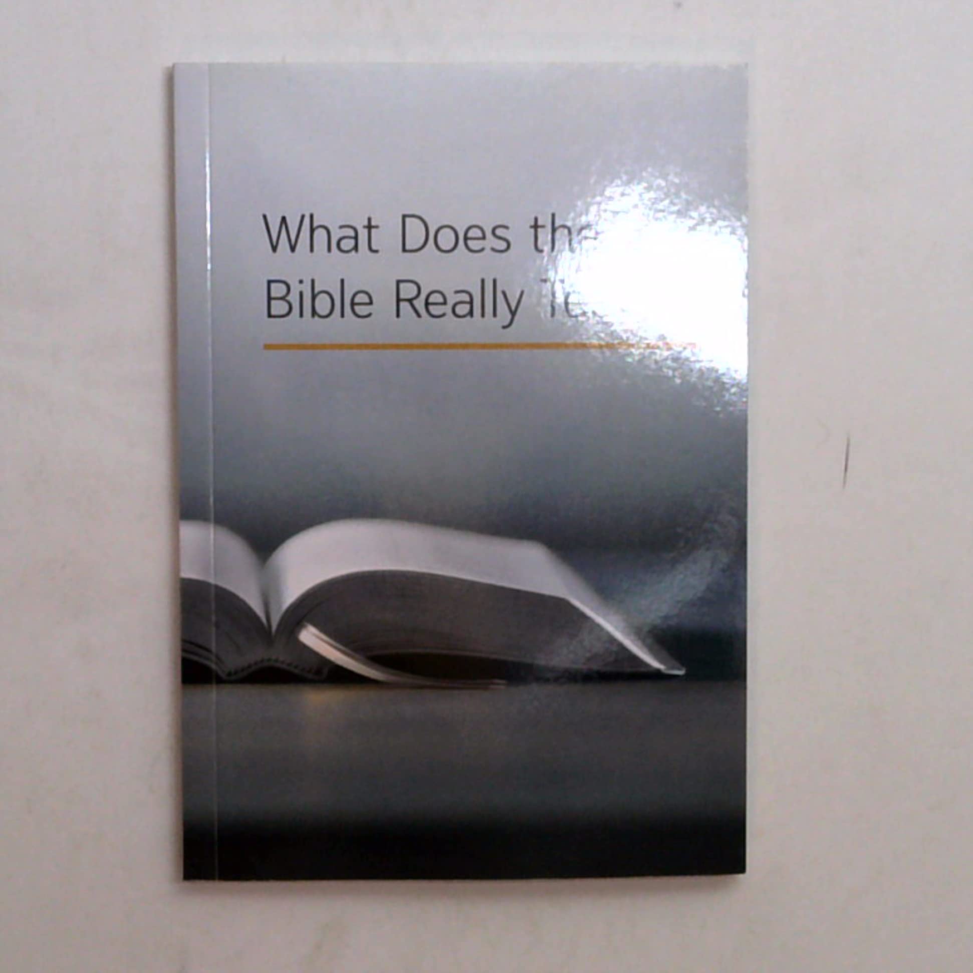What Does the Bible Really Teach? - Biblical Study Guide for Christians - Perfect for Personal Devotion & Small Group Discussions