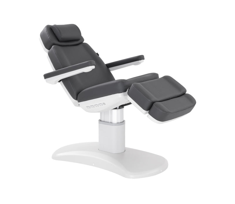 SilverFox 4 Motors Electric Facial Spa Bed 2222BN GRY - Professional Massage Table for Salon & Spa Treatments, Facial Rejuvenation, and Beauty Therapy