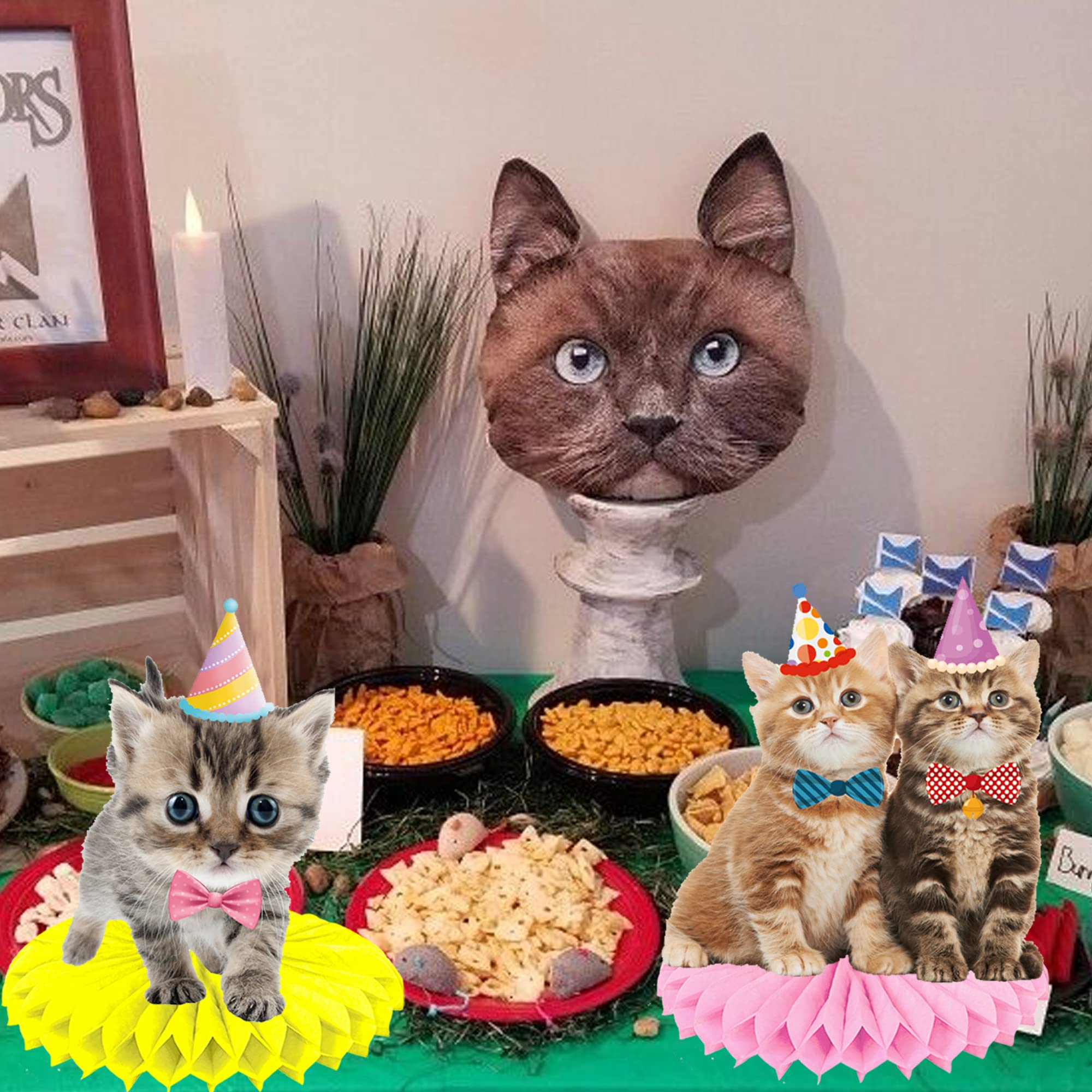 11Pcs Honeycomb Cat-Themed Party Decorations - Pet Birthday Centerpieces for Tables, Baby Shower & Kids Party Supplies | Perfect for Kitten Birthday Parties, Cat Lover Events & Themed Celebrations