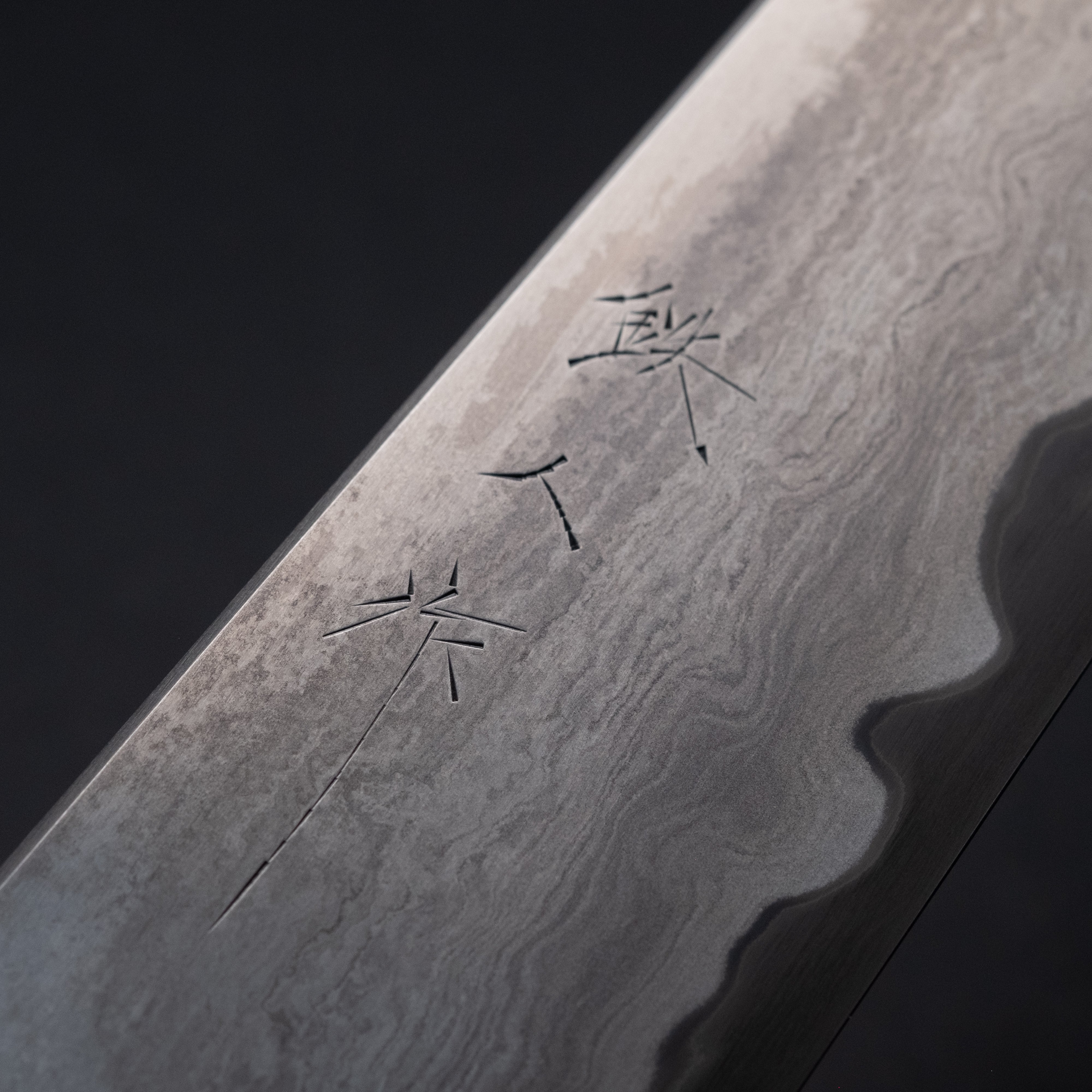 Premium Tetsujin Blue #2 Steel Gyuto Chef Knife 210mm with Taihei Rosewood Handle - Perfect for Sushi, Meat Slicing & Professional Kitchen Use