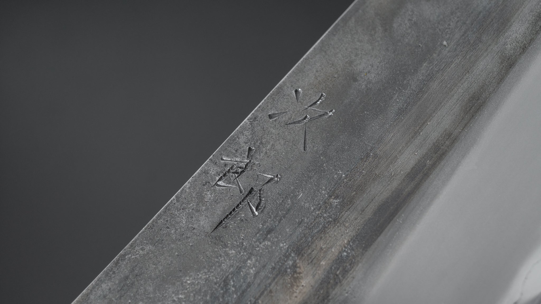 Premium Jiro Tsuchime Wa Gyuto 240mm Japanese Chef Knife with Taihei Tagayasan Handle (#432) - Perfect for Sushi, Meat Cutting & Professional Kitchen Use