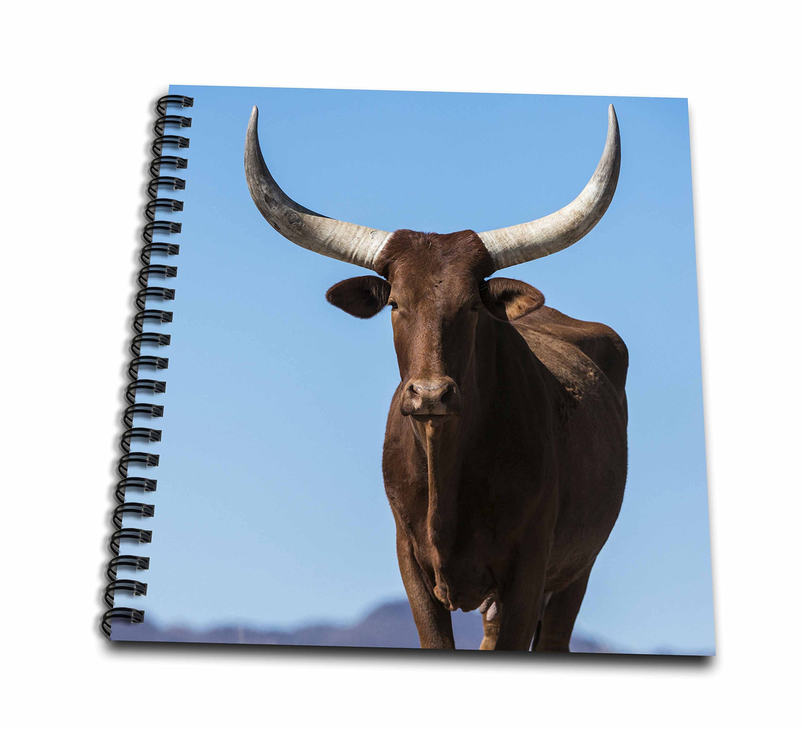 3D Rose Watusi Cattle Drawing Book - Premium Sketchbook for Artists & Beginners - Perfect for Nature Sketching, Animal Art, and Creative Gift Ideas