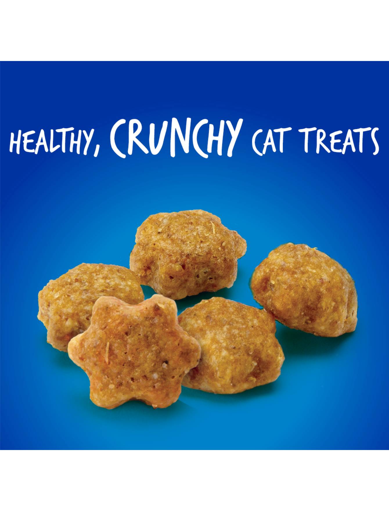 Fruitables Crunchy Chicken & Blueberry Cat Treats 2.5oz - Natural Grain-Free Cat Snacks for Indoor & Outdoor Cats - Perfect for Training, Rewards, and Daily Treats