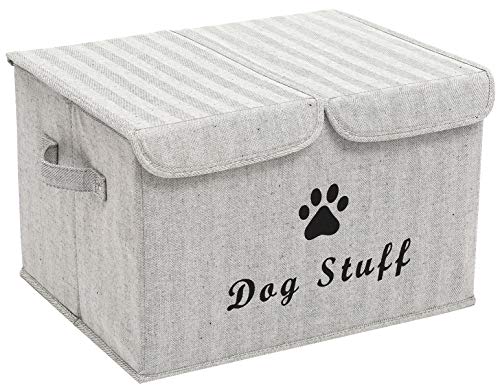 Dog Gray Stripe