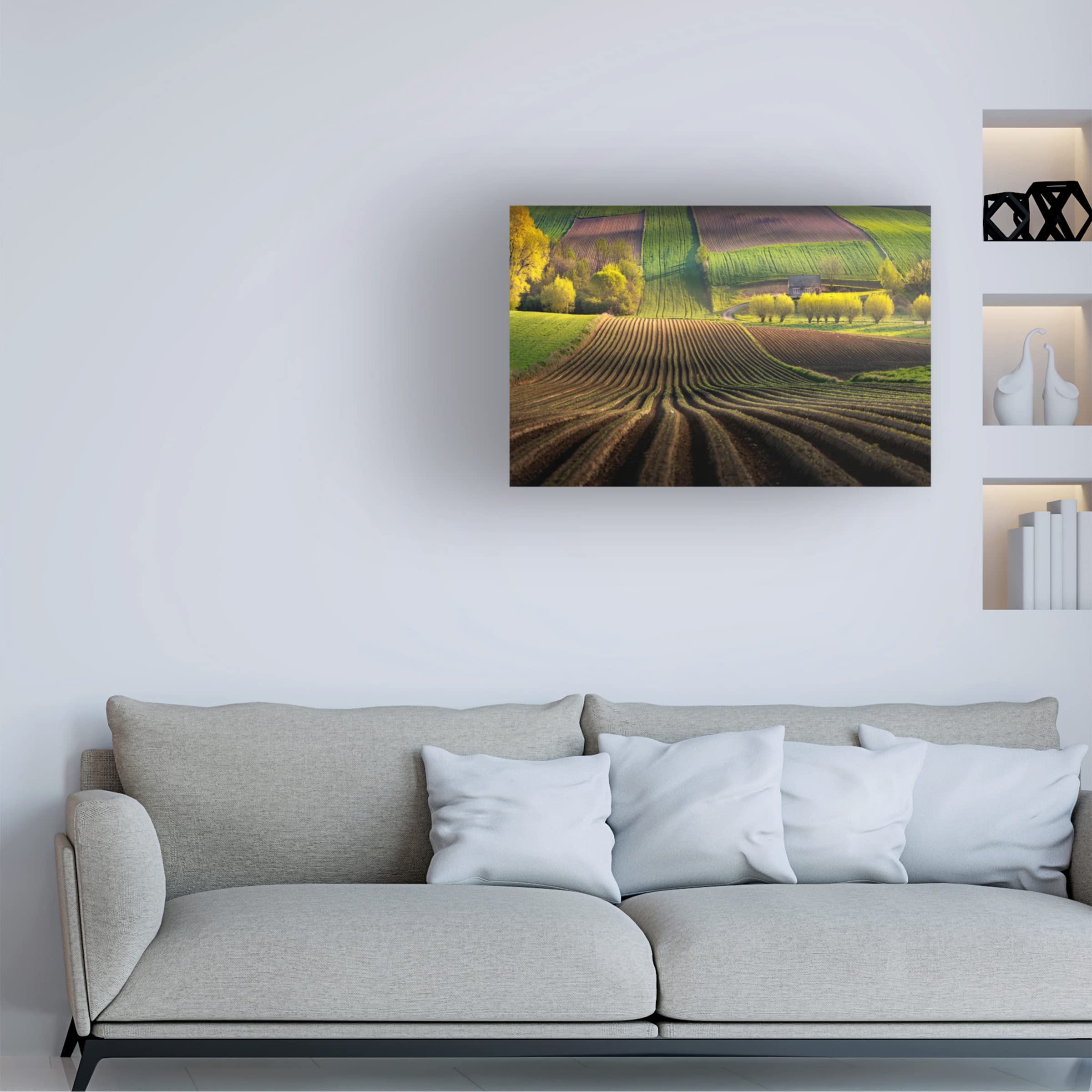 Trademark Fine Art 'Shape' Canvas Art by Karol Nienartowicz - Abstract Wall Decor for Living Room, Bedroom & Office - Modern Home & Office Decoration
