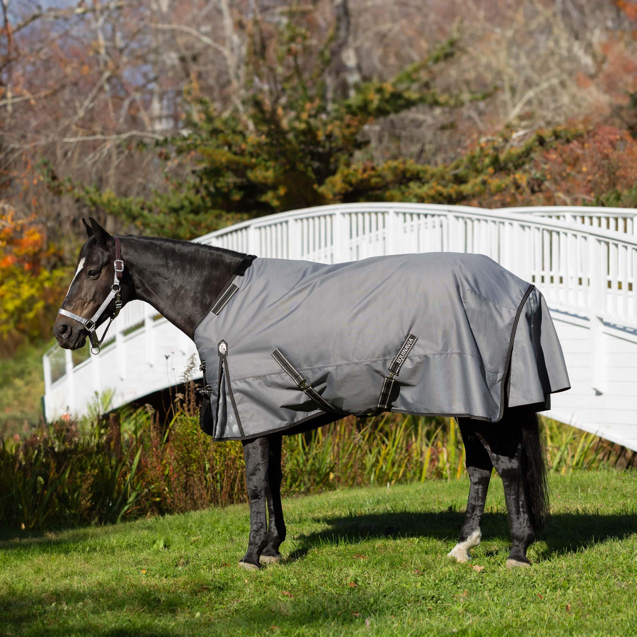 Equinavia Arktis Regular Neck Turnout Sheet - Waterproof Horse Blanket for Cold Weather - Carbon Gray - 81 Inches - Ideal for Winter Riding and Stable Use