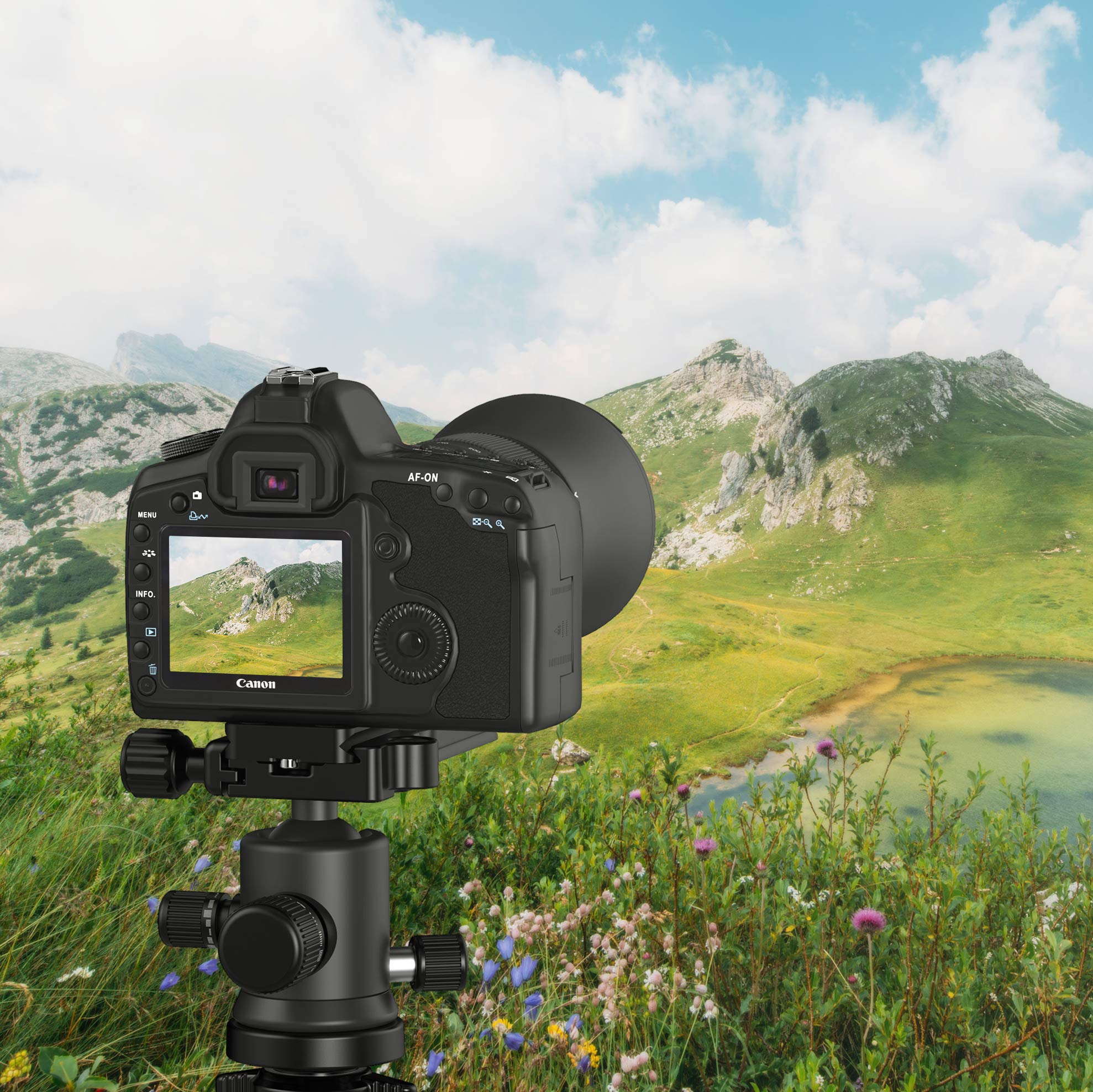 SABRENT Universal Flexible Tripod Mount with Ball Head - Adjustable Stand for DSLR, Camcorder, Smartphone (TP-FLTP-TBHD) - Perfect for Vlogging, Photography & Live Streaming