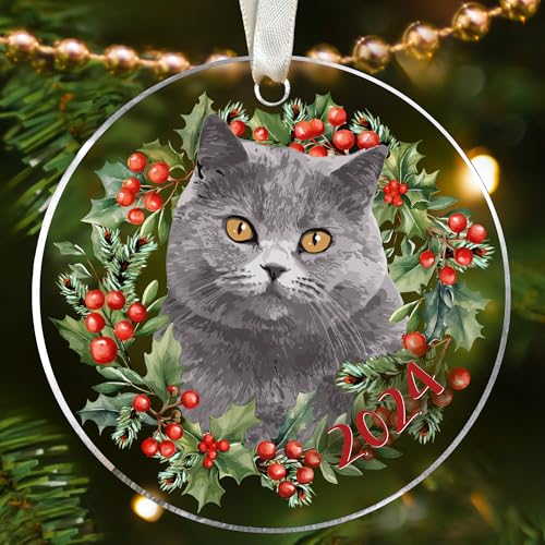Cat Grey