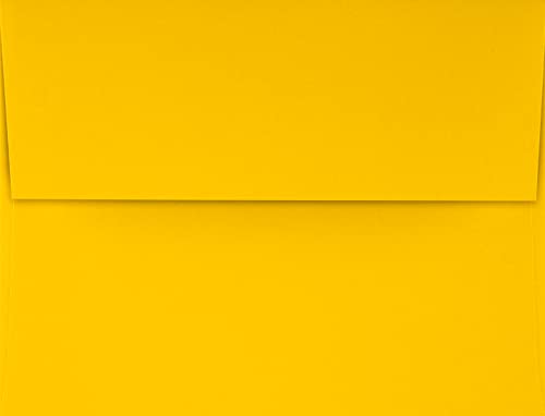 Sunflower Yellow