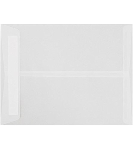 LUXPaper 9 x 12 Open End Envelopes - Clear Translucent Business Envelopes (30lb Text Weight, Pack of 250) for Mailing, Invitations & Office Documents