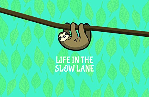 Slow Sloth