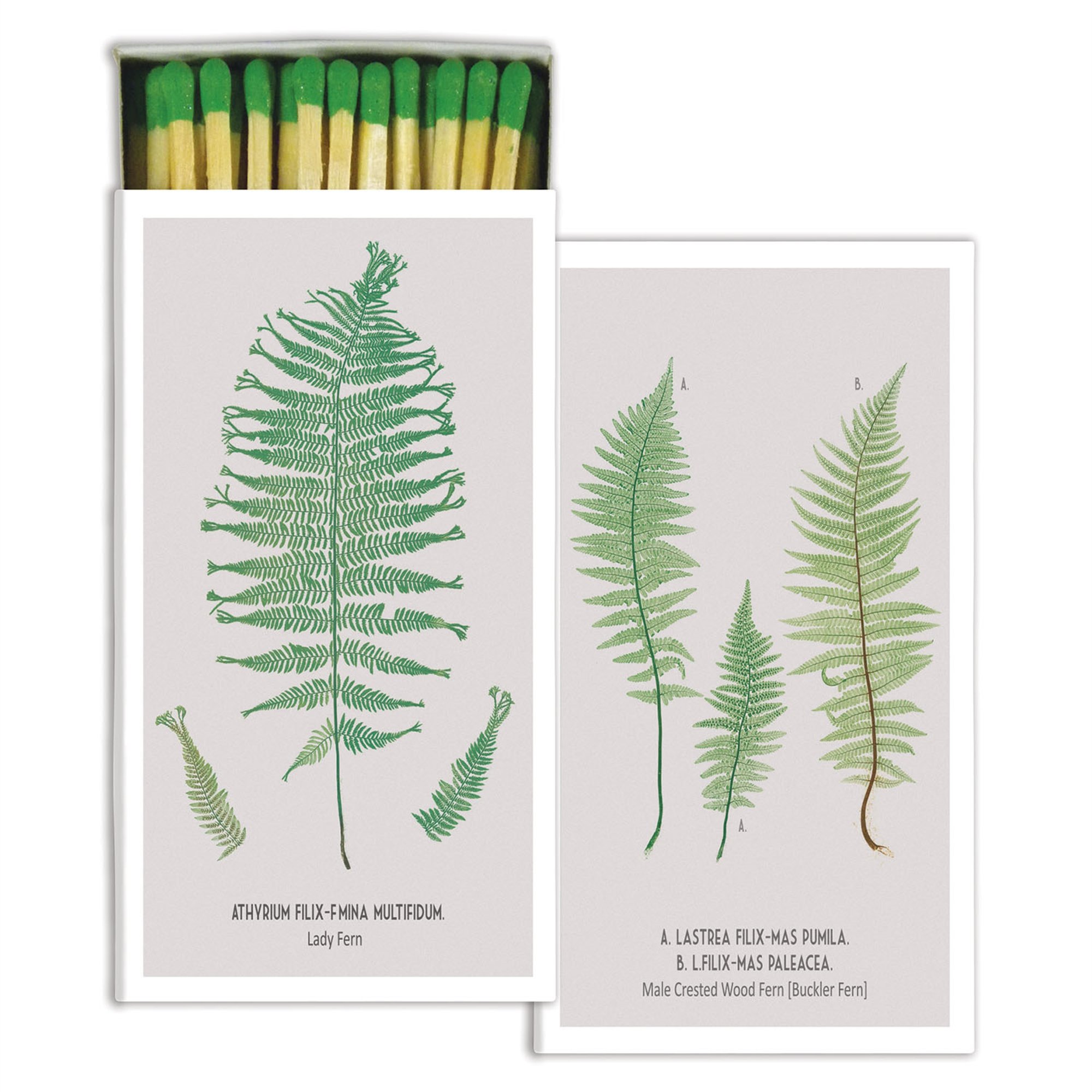 Monstera Leaf Match Box Set - 2 Decorative Long Matches for Candles & Fireplaces
